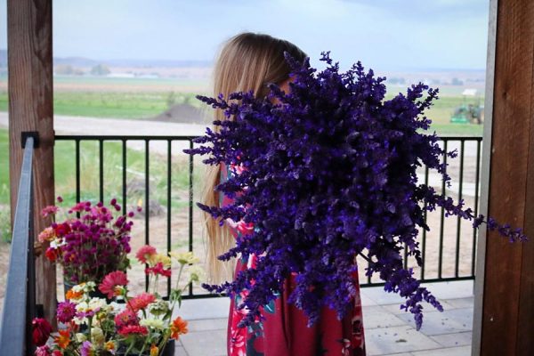 girl-holding-purple-flowers